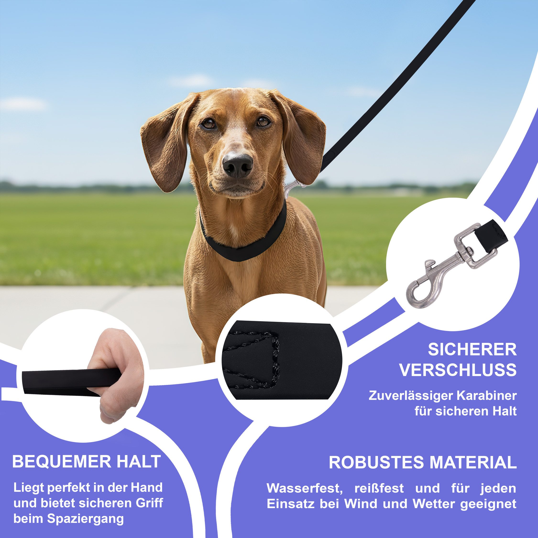 Reichstadt Hundeleine RS Pets Führleine PVC 25RSP086, PVC, Weiche Handschlaufe mit Soft-Wrist-Strap