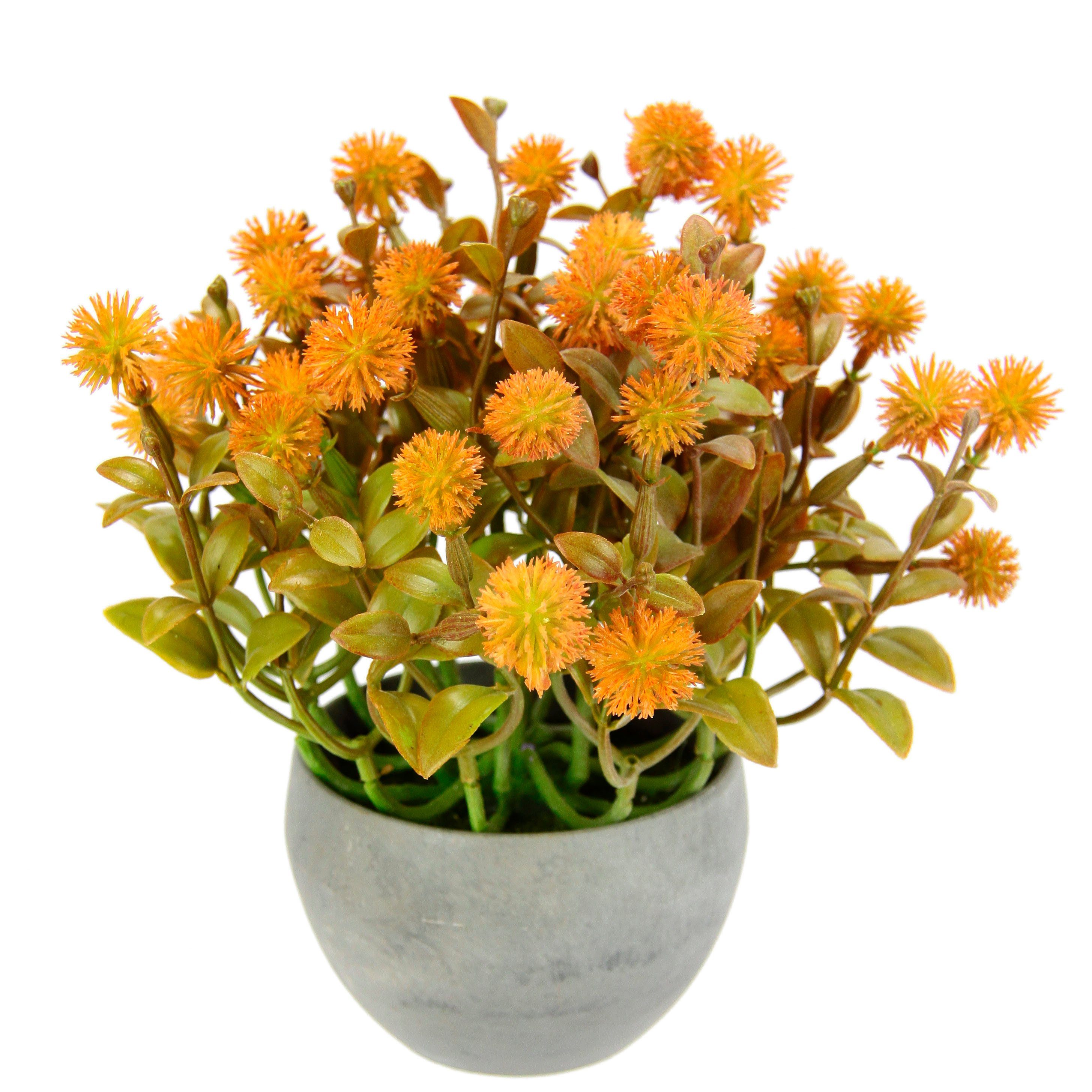 Kunstpflanze Margerite im Topf Korbblüter, I.GE.A., Höhe 23 cm, Künstliche Blumen Blütenbusch Busch Tischdeko Pflanze Kunstblumen Deko