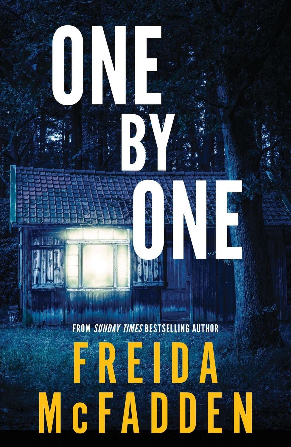 One by One / Freida McFadden, From the Sunday Times Bestselling Author of The Housemaid