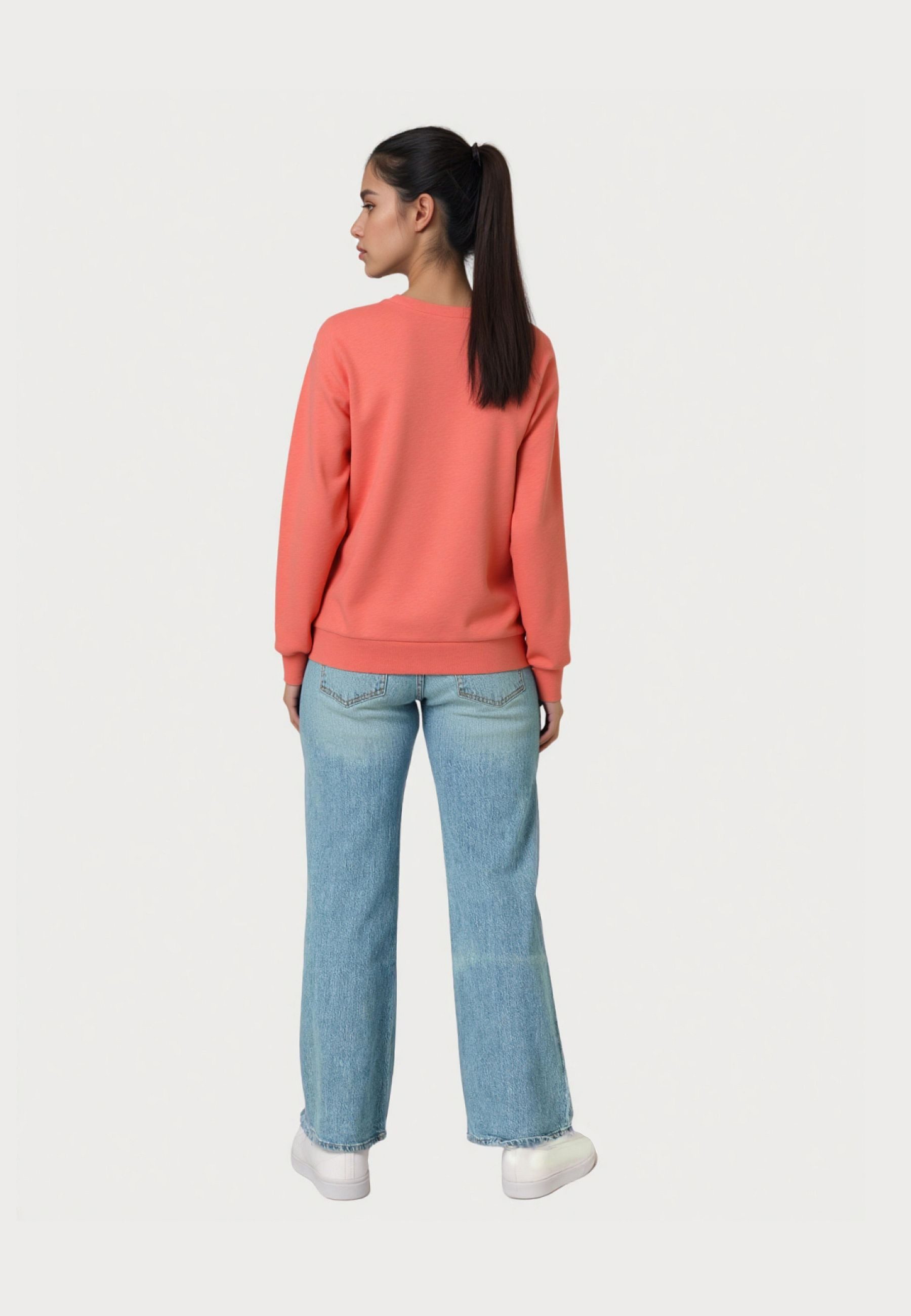 U.S. Polo Assn. Sweatshirt Shirt Sweatshirt (1-tlg)