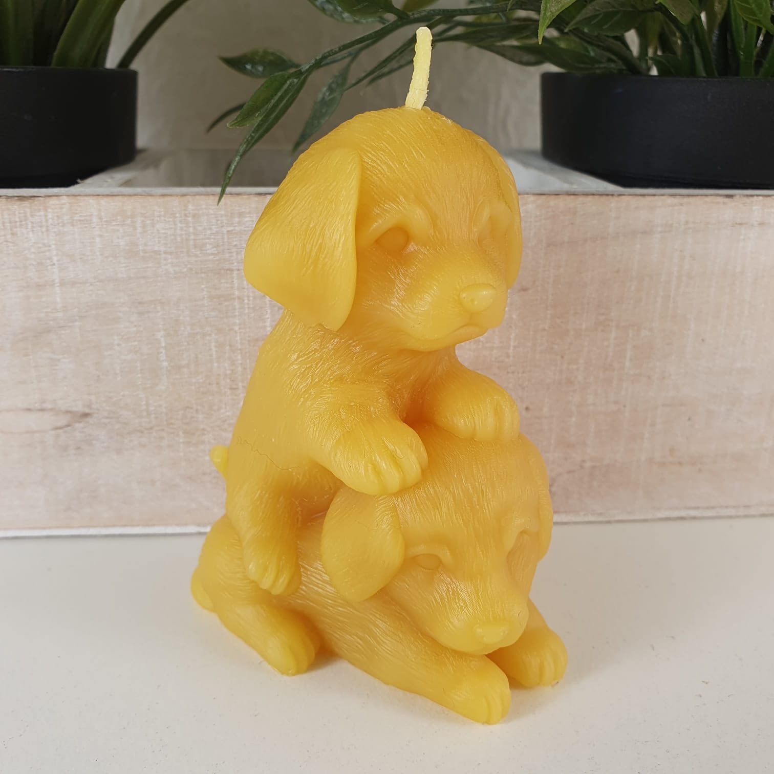 Aspinaworld Formkerze Bienenwachskerze - verspielter Hund 9 cm - Bienenwach günstig online kaufen