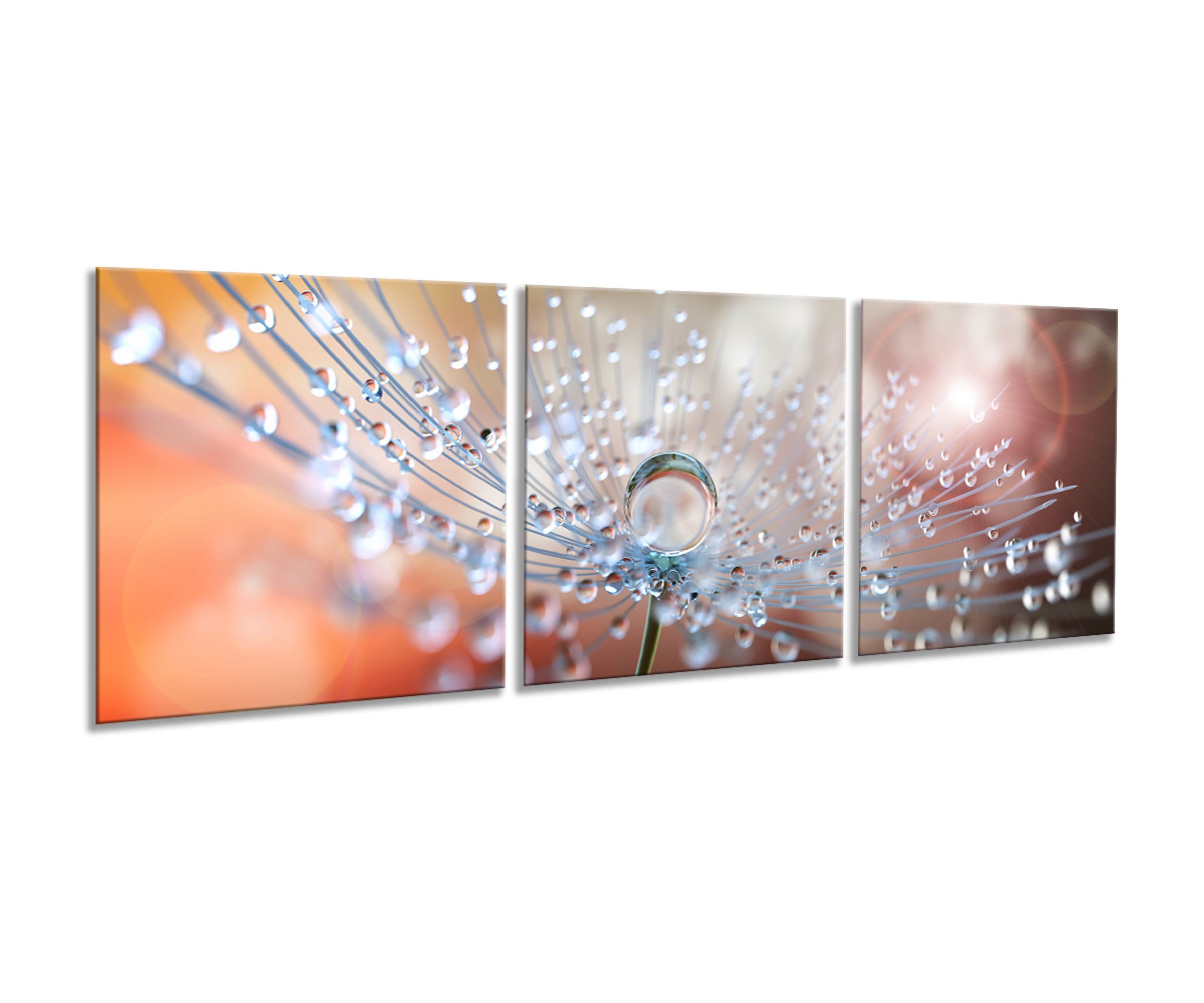 artissimo Glasbild großes XXL Bild aus Glas 3x 50x50 cm / 3-teiliges Bilder Set modern, Blumen und Blüten: Pusteblume mit Wassertropfen in orange