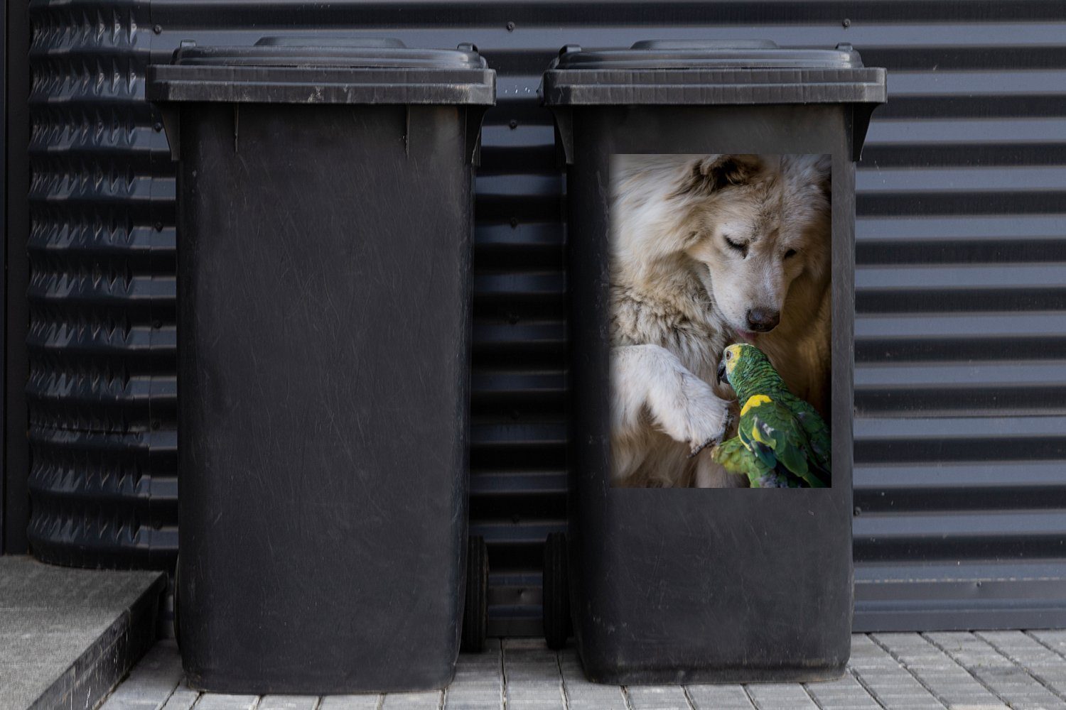Container, Mülleimer-aufkleber, Wandsticker - St), Mülltonne, (1 Sticker, Tiere - MuchoWow Hund Abfalbehälter Papagei