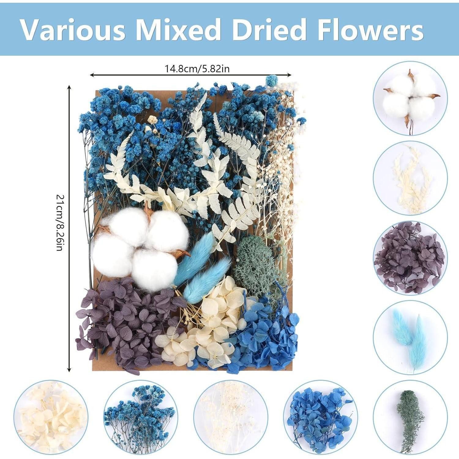 Trockenblume Trockenblumen Gemischt DIY Epoxidharz Scrapbook Blau, LuxusKollektion