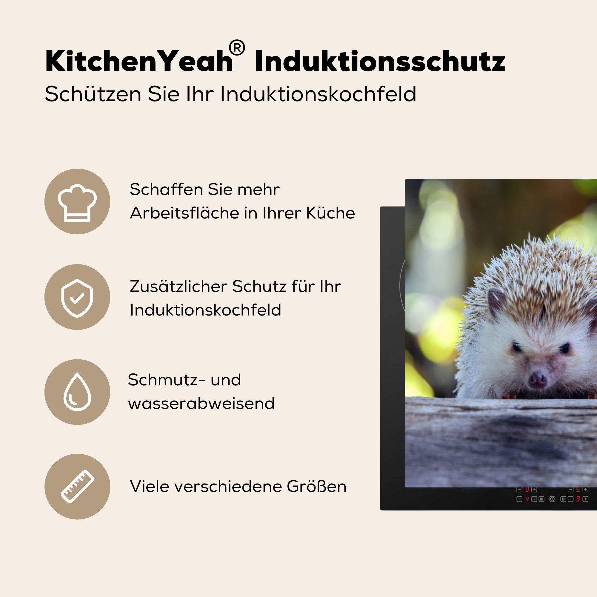 MuchoWow Herdblende-/Abdeckplatte Zwei Igel für Arbeitsplatte Ceranfeldabdeckung, (1 sitzen einem auf 83x51 Vinyl, cm, tlg), küche Ast