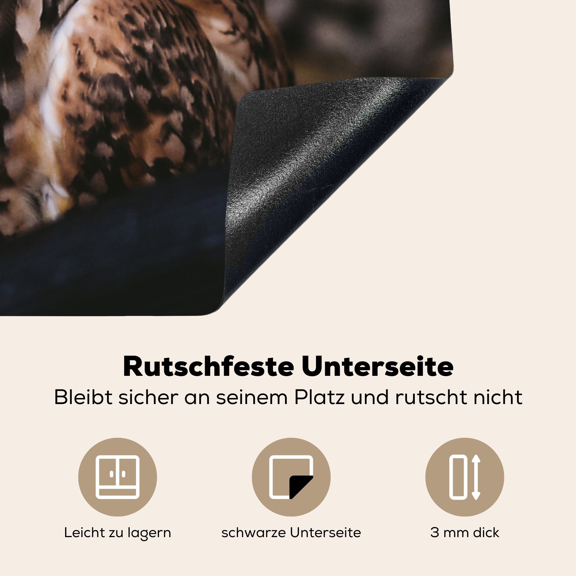 - 78x78 Braune für Vinyl, Vogel - Herdblende-/Abdeckplatte Ceranfeldabdeckung, küche Eule (1 MuchoWow tlg), Tiere, cm, Arbeitsplatte