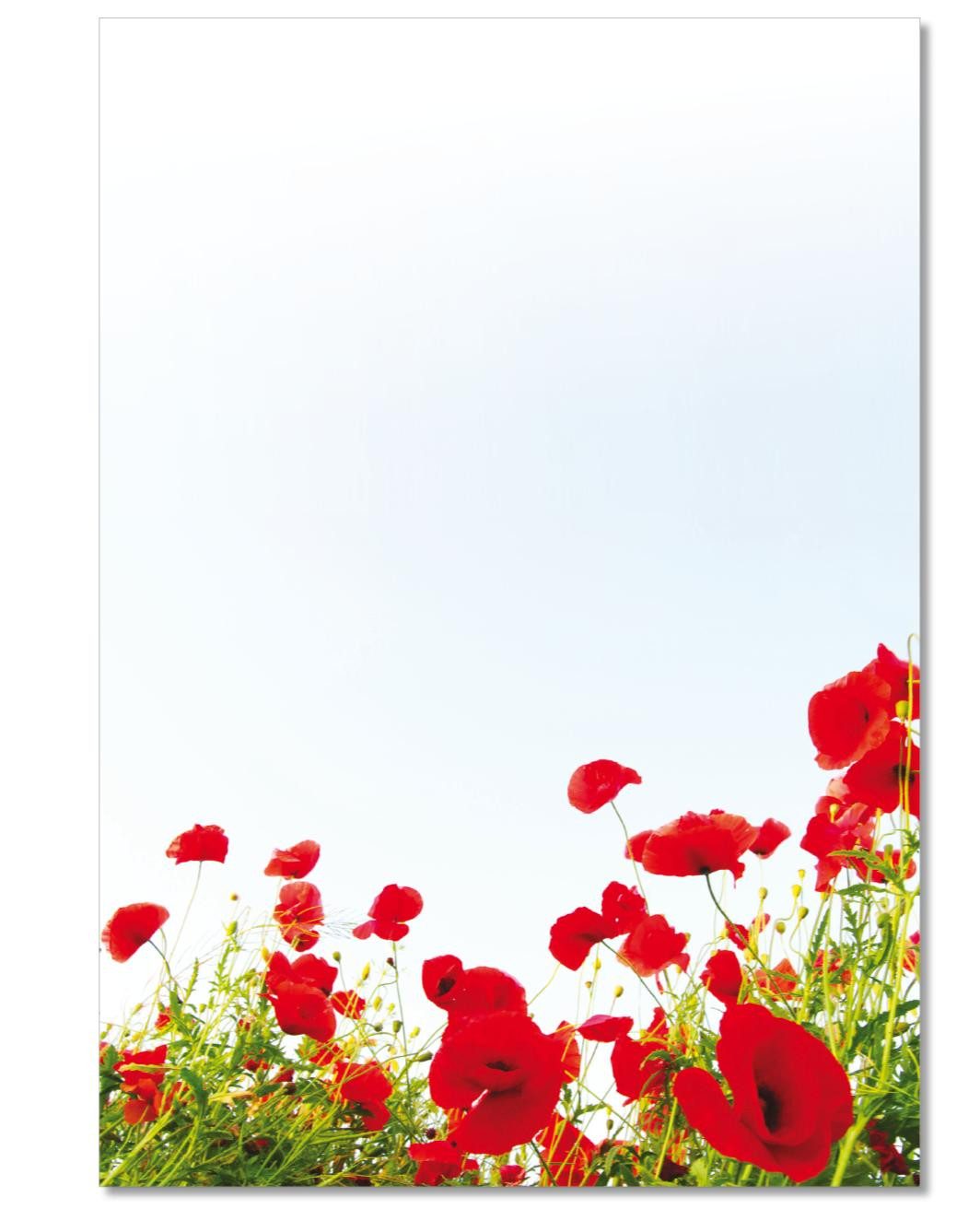 LYSCO Briefpapier Motivpapier Blumenvielfalt,Blumen DIN A4, gut beschreibbar, blumige Atmosphäre, für alle Drucker geeignet.