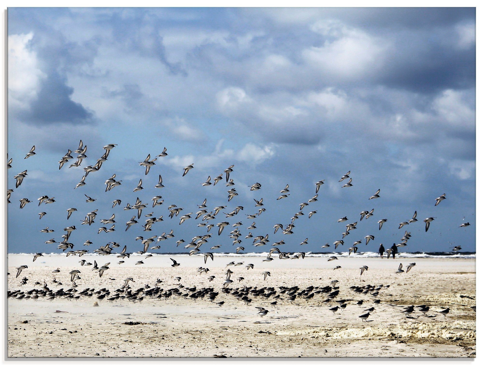 in Vögel, verschiedenen Größen (1 St), Glasbild Strand Artland Die