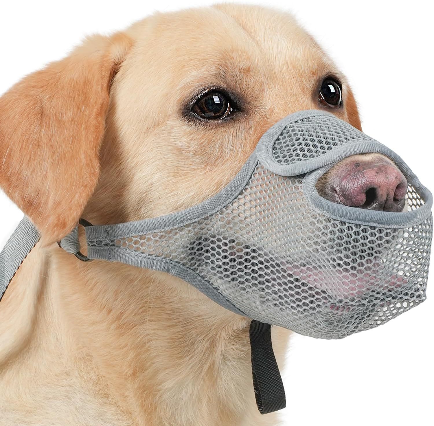 Coonoor Maulkorb Hunde Maulkorb, Nylon-Mesh, Atmungsaktiv und Bequem, Maulkorb für Große Hunde mit Verstellbaren Trägern
