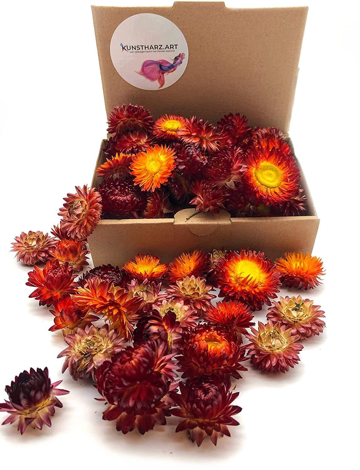 Trockenblume Strohblumenköpfe Helichrysum getrocknet: gemischt oder farblich sortiert - Rot, Kunstharz.Art