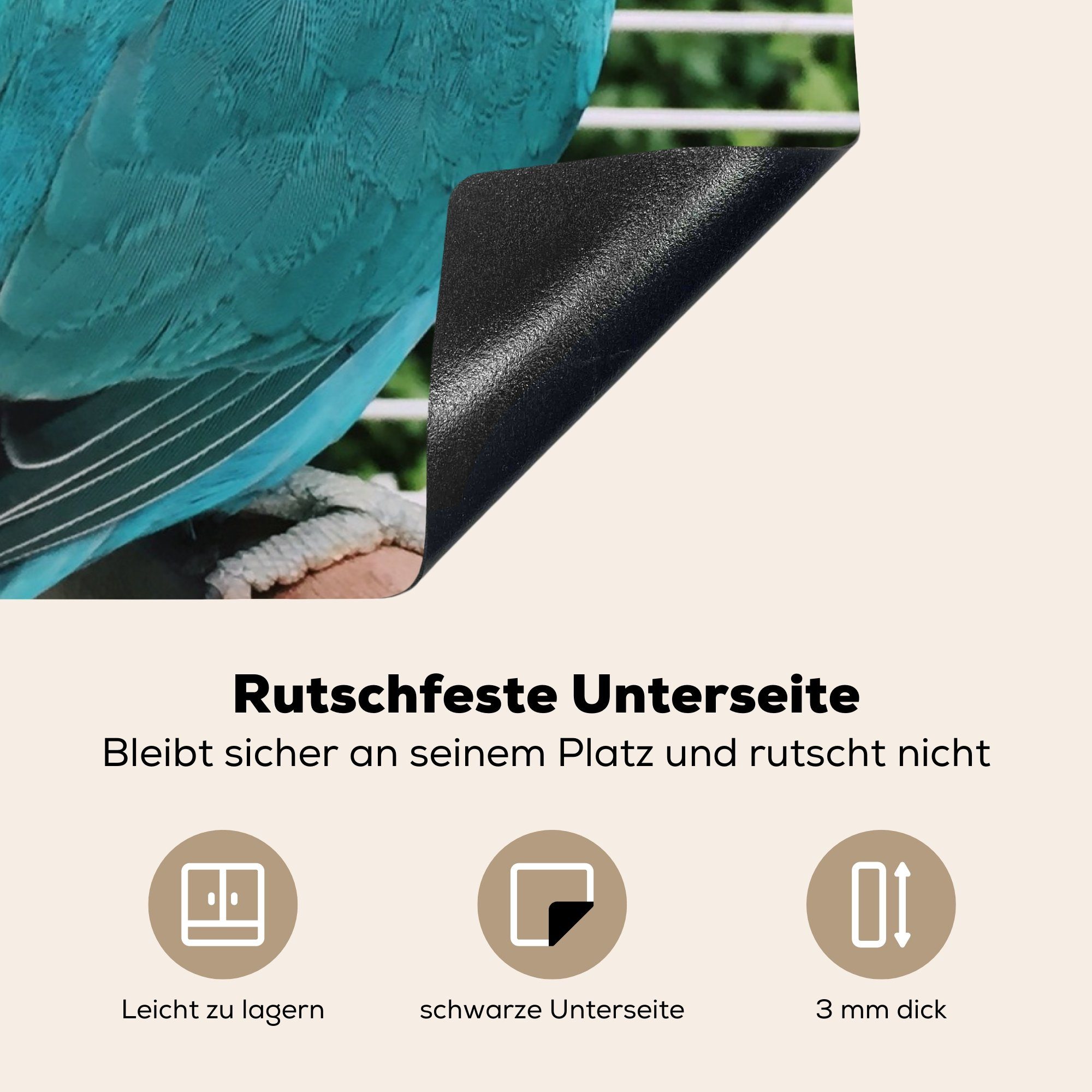 Blauer MuchoWow Zwergpapagei, tlg), nutzbar, Ceranfeldabdeckung Herdblende-/Abdeckplatte Arbeitsfläche (1 Mobile weißer cm, 70x52 Vinyl, und