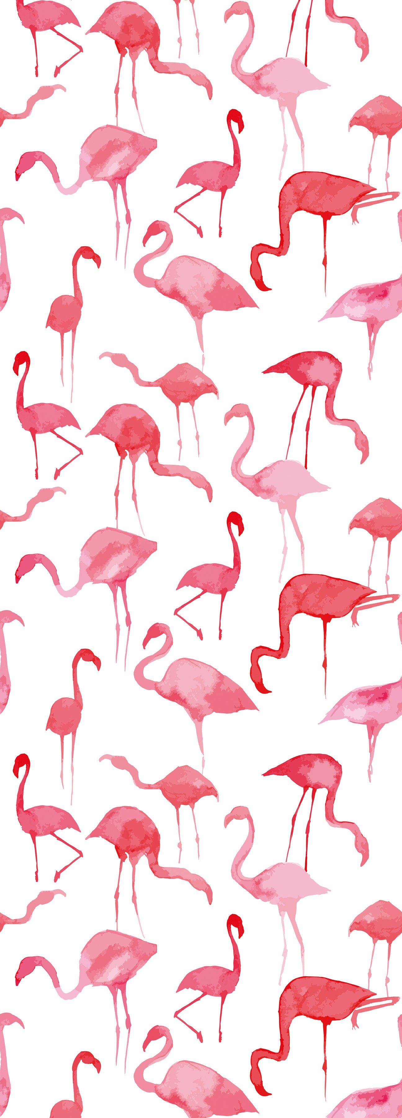 queence Vinyltapete Iesai, glatt, animal print, 90x250cm, selbstklebend, kinderleichte Anbringung, Sticker