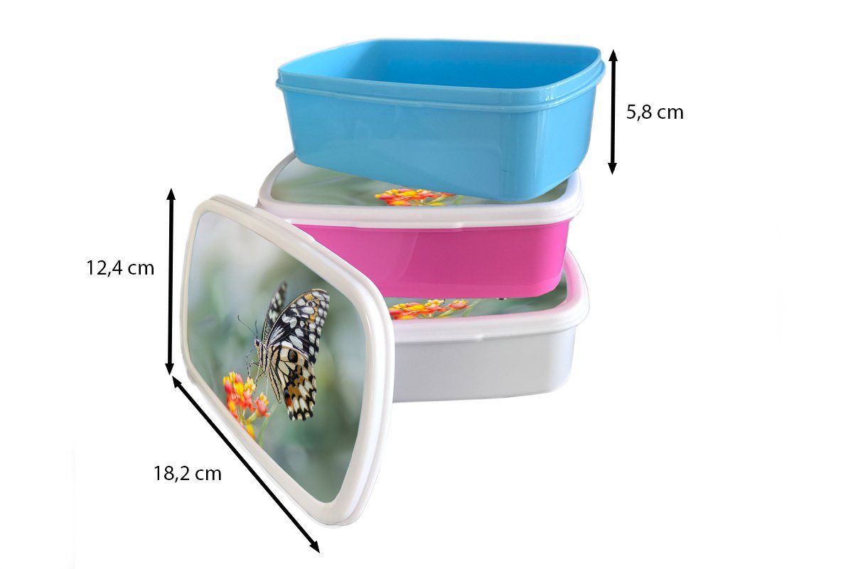 Brotbox für Jungs (2-tlg), Blume, auf Brotdose, Erwachsene, Schmetterling für Lunchbox Seiten MuchoWow Kinder weiß Kunststoff, Mädchen und und