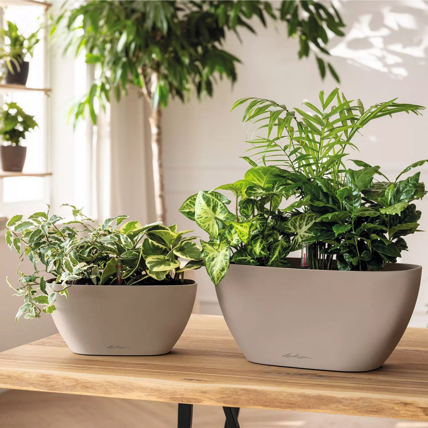 Lechuza® Blumentopf NAVIO Color 10, schiefergrau