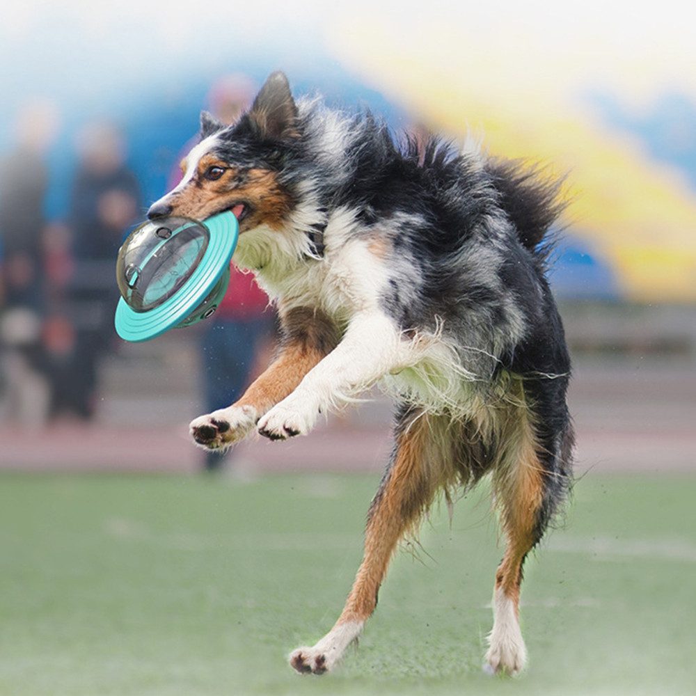 Beaface Futterball Futterball für Hunde,Welpenspielzeug,Hundespielzeug Inte günstig online kaufen