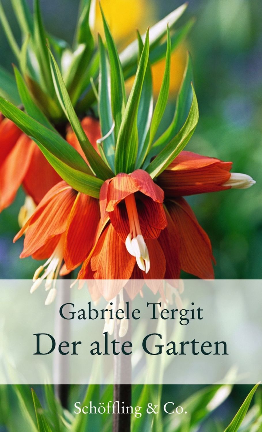Der alte Garten / Gabriele Tergit