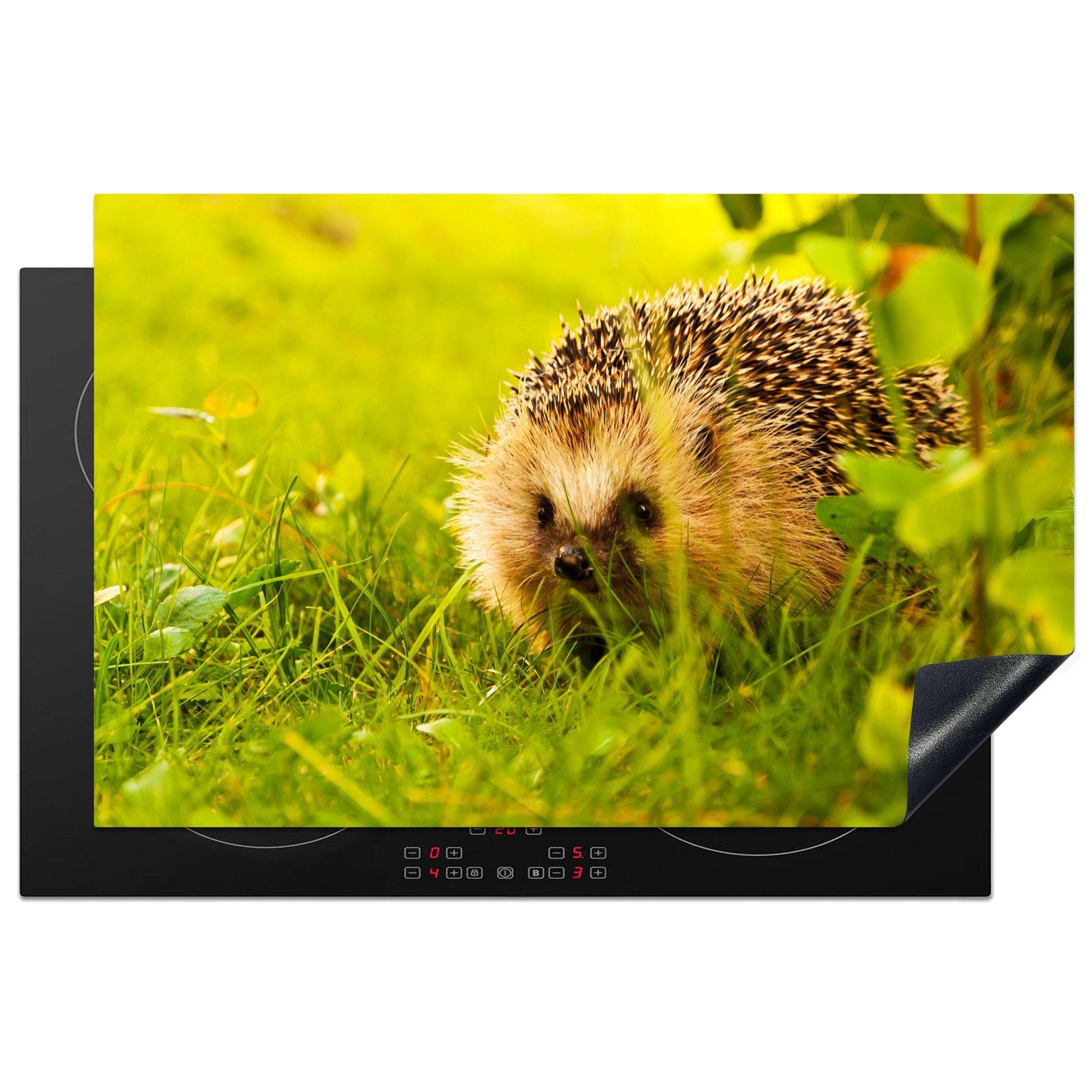 MuchoWow Herdblende-/Abdeckplatte Igel - Garten Ceranfeldabdeckung tlg), (1 Pflanze, 81x52 für Vinyl, Schutz - cm, küche, Induktionskochfeld die