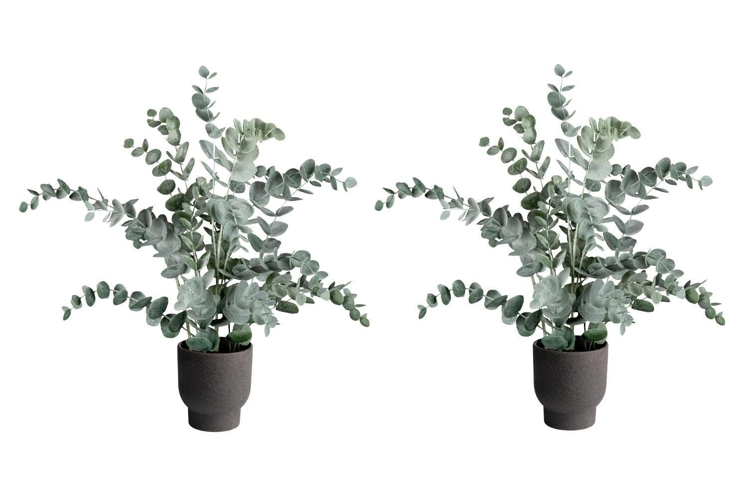 Kunstpflanze Eukalyptus im Topf NELE, H 53 cm, Grün, Kunstpflanze Eukalyptus, Gasper, Höhe 53 cm, im Kunststofftopf