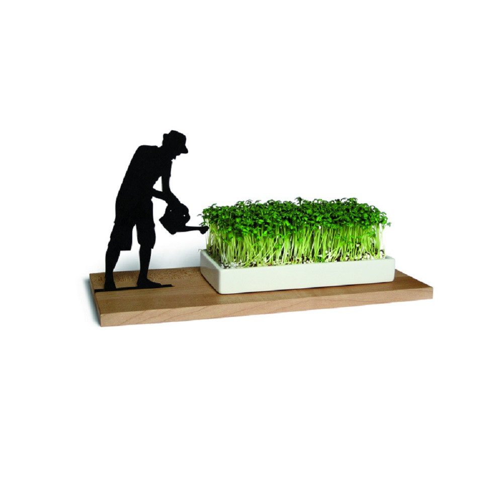 side by side Kräuterbeet Kresseschale smart n green Gärtner