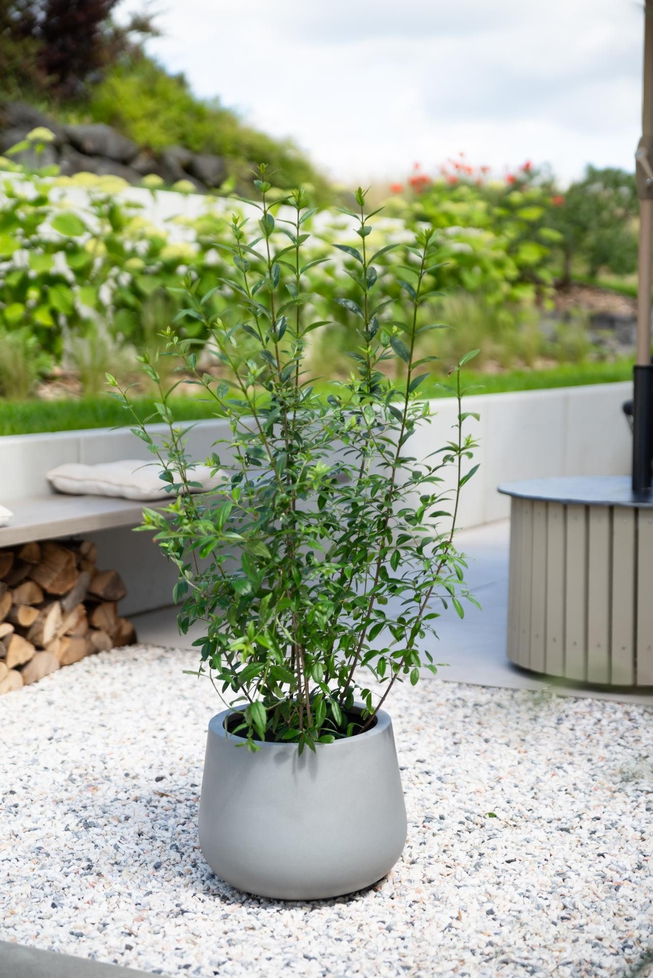 VIVANNO Blumentopf Fiberglas GIRAR Rund - Grau Beton-Design (1 St), 36x27 c günstig online kaufen