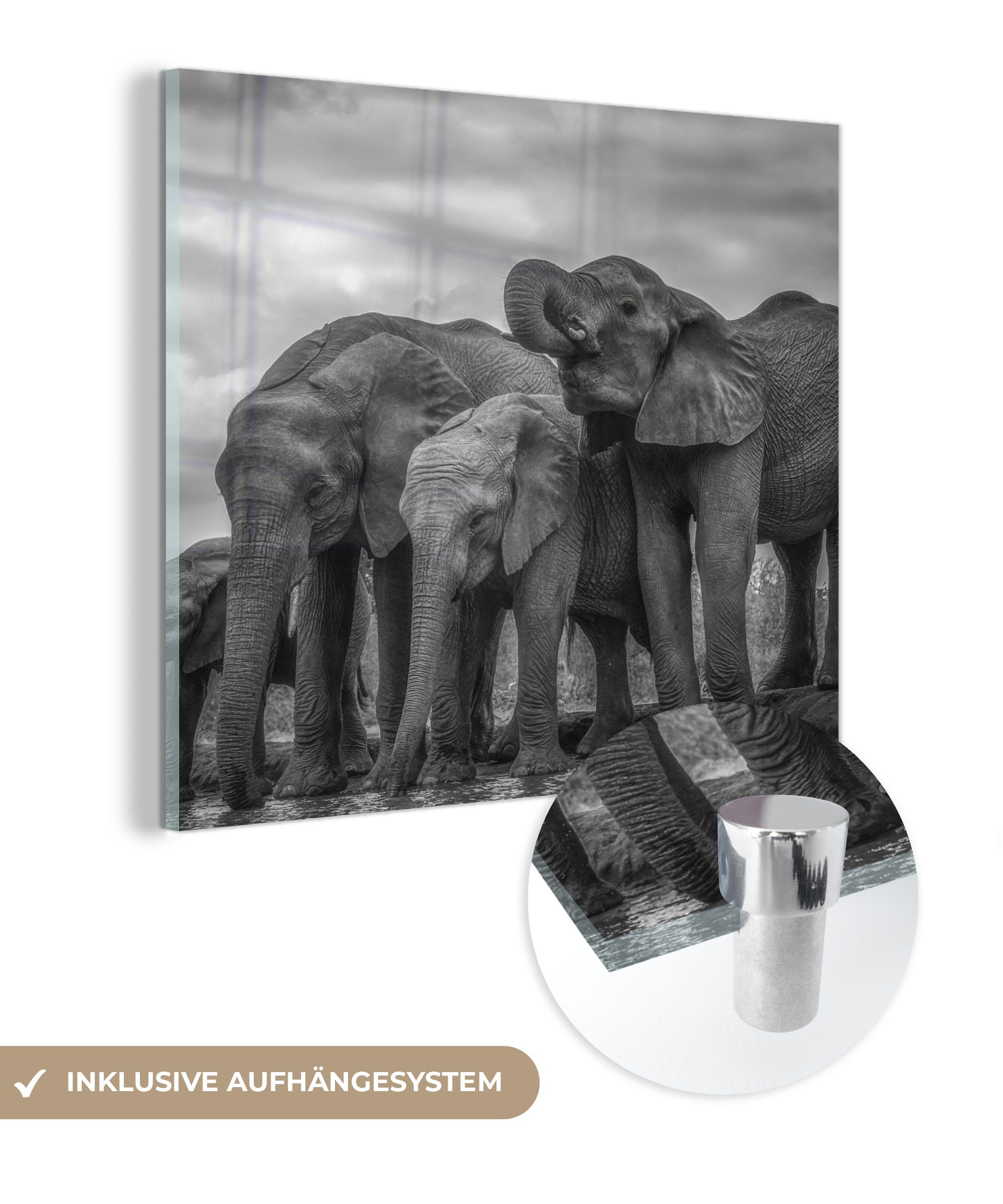 MuchoWow Acrylglasbild Elefant - Tiere - Wasser - Schwarz und weiß, (1 St), Glasbilder - Bilder auf Glas Wandbild - Foto auf Glas - Wanddekoration