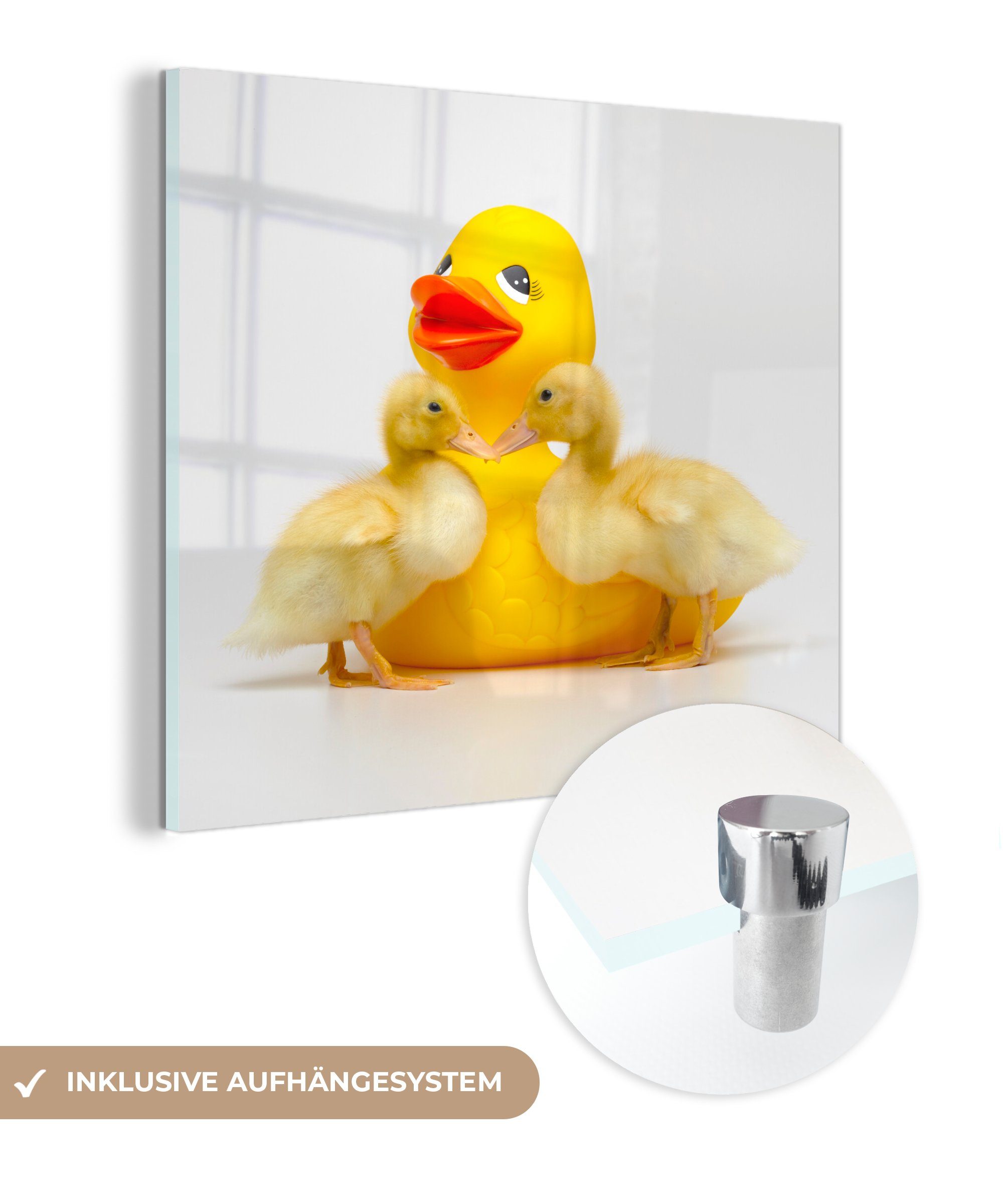 MuchoWow Acrylglasbild Bade-Ente mit zwei Baby-Enten auf weißem Hintergrund, (1 St), Glasbilder - Bilder auf Glas Wandbild - Foto auf Glas - Wanddekoration