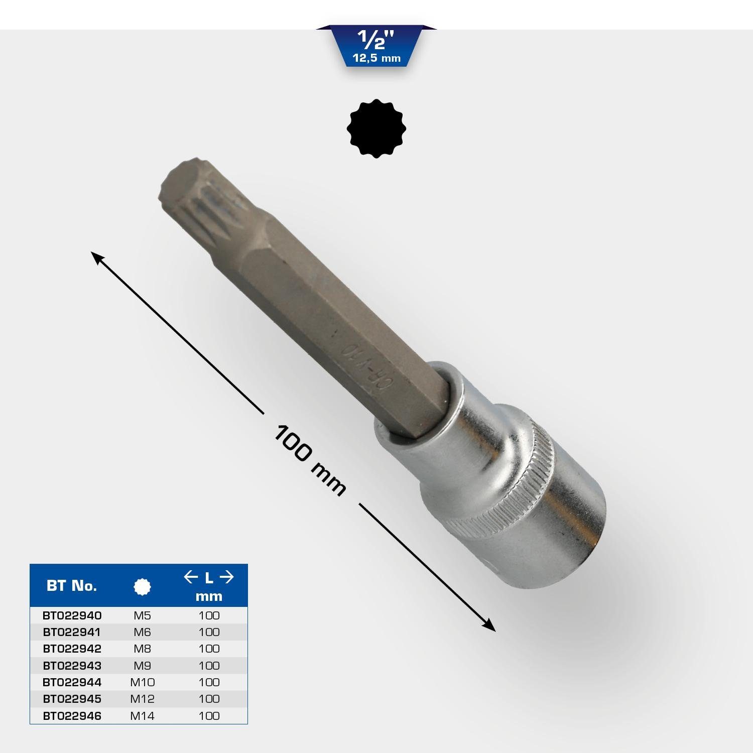 100 M6 Brilliant mm lang, Tools Bit-Set 1/2" Vielzahn-Bit-Stecknuss,