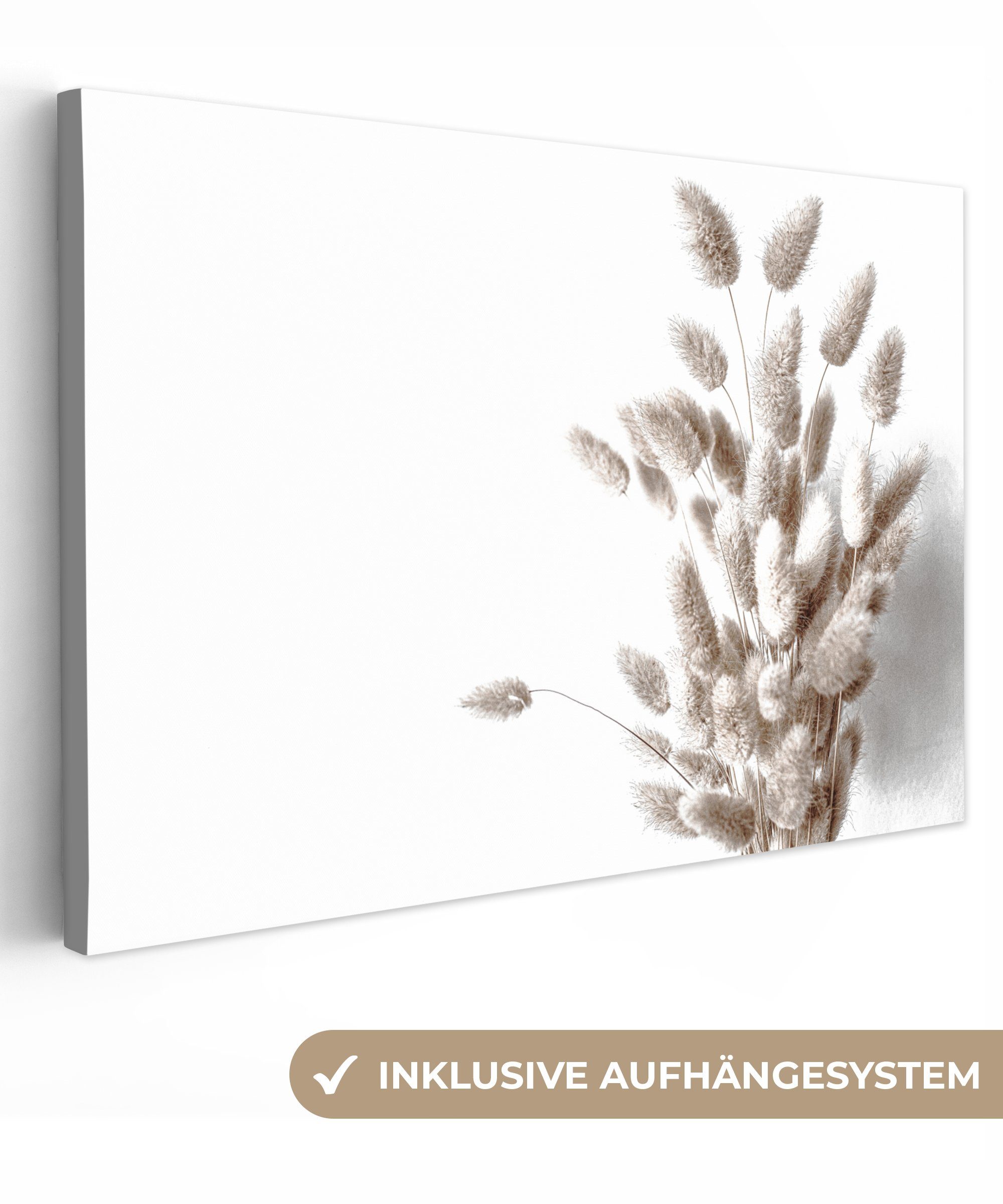 Pflanzen Federn Leinwandbild Wandbild St), 120x80 großes, für Weiß, OneMillionCanvasses® (1 - Gemälde, - Wohnbereiche, alle cm XXL,