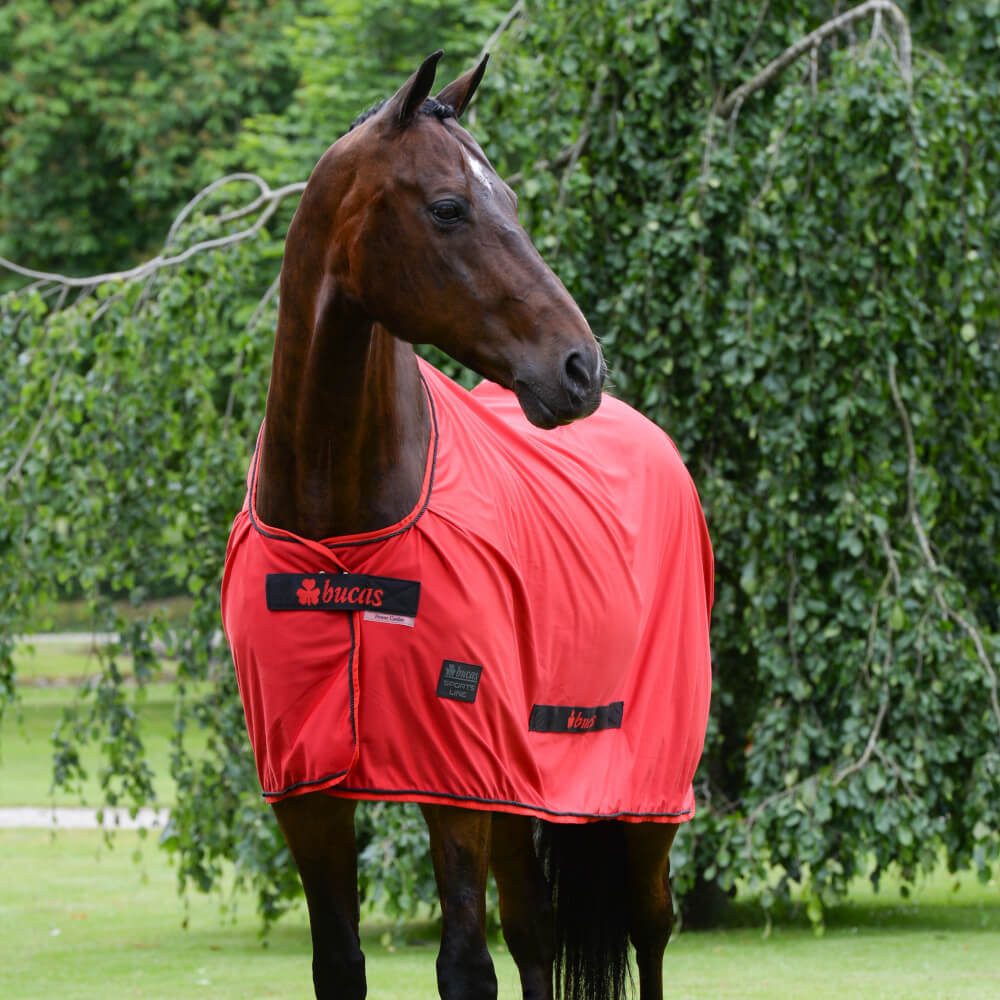 Bucas Pferde-Abschwitzdecke Bucas Sports Line Cooler 0g