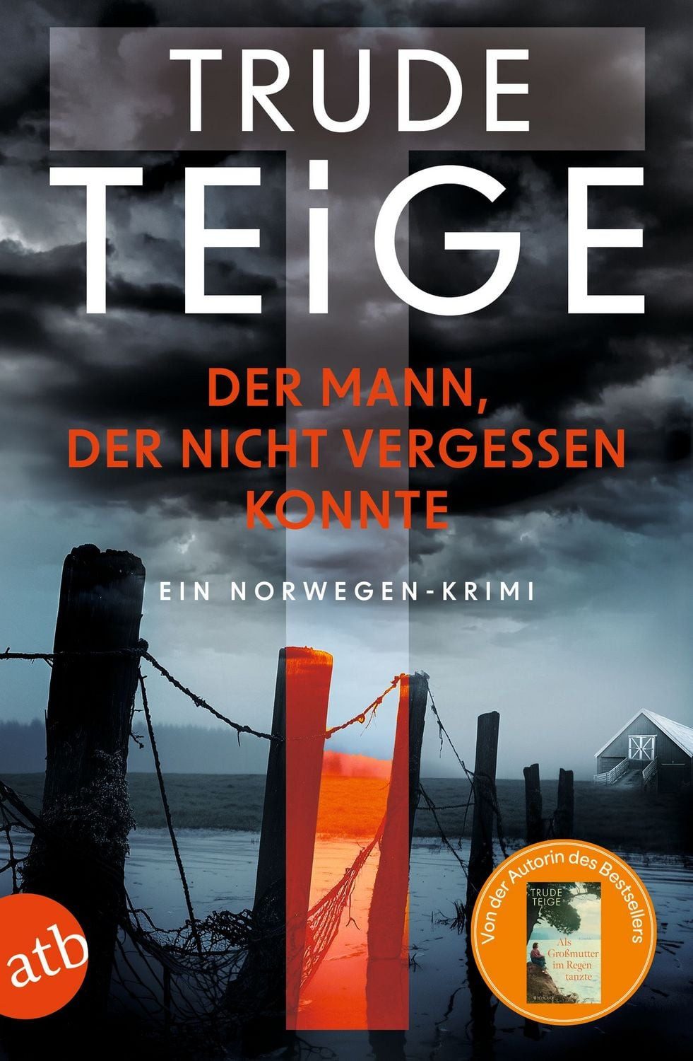 Belletristik Der Mann, der nicht vergessen konnte Ein Norwegen-Krimi Trude Teige