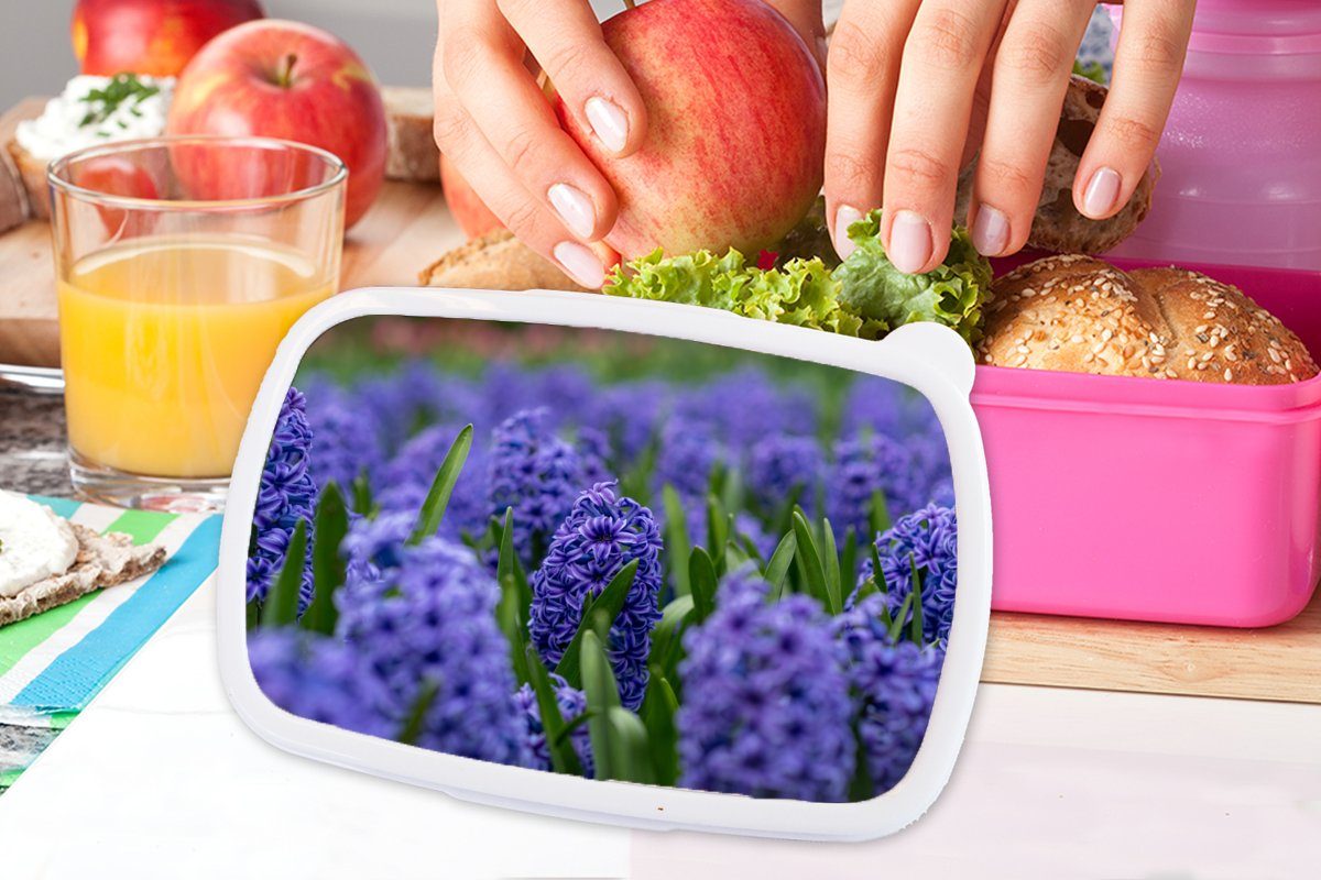 Mädchen, Kunststoff Blumen Brotbox Snackbox, Hyazinthe Kinder, - Erwachsene, Lila, - Kunststoff, Brotdose rosa (2-tlg), MuchoWow Lunchbox für