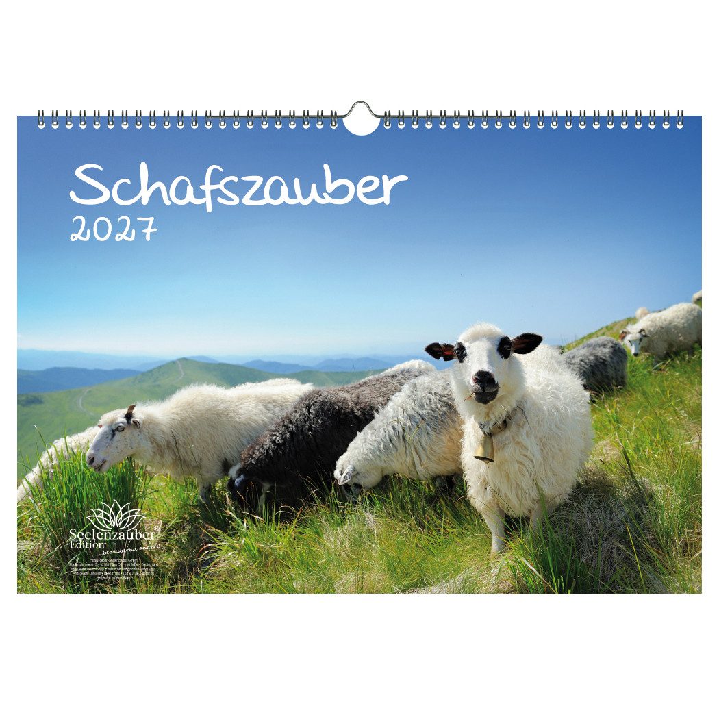 Seelenzauber Wandkalender Schafszauber DIN A3 Kalender für 2027 Schafe und Lämmchen