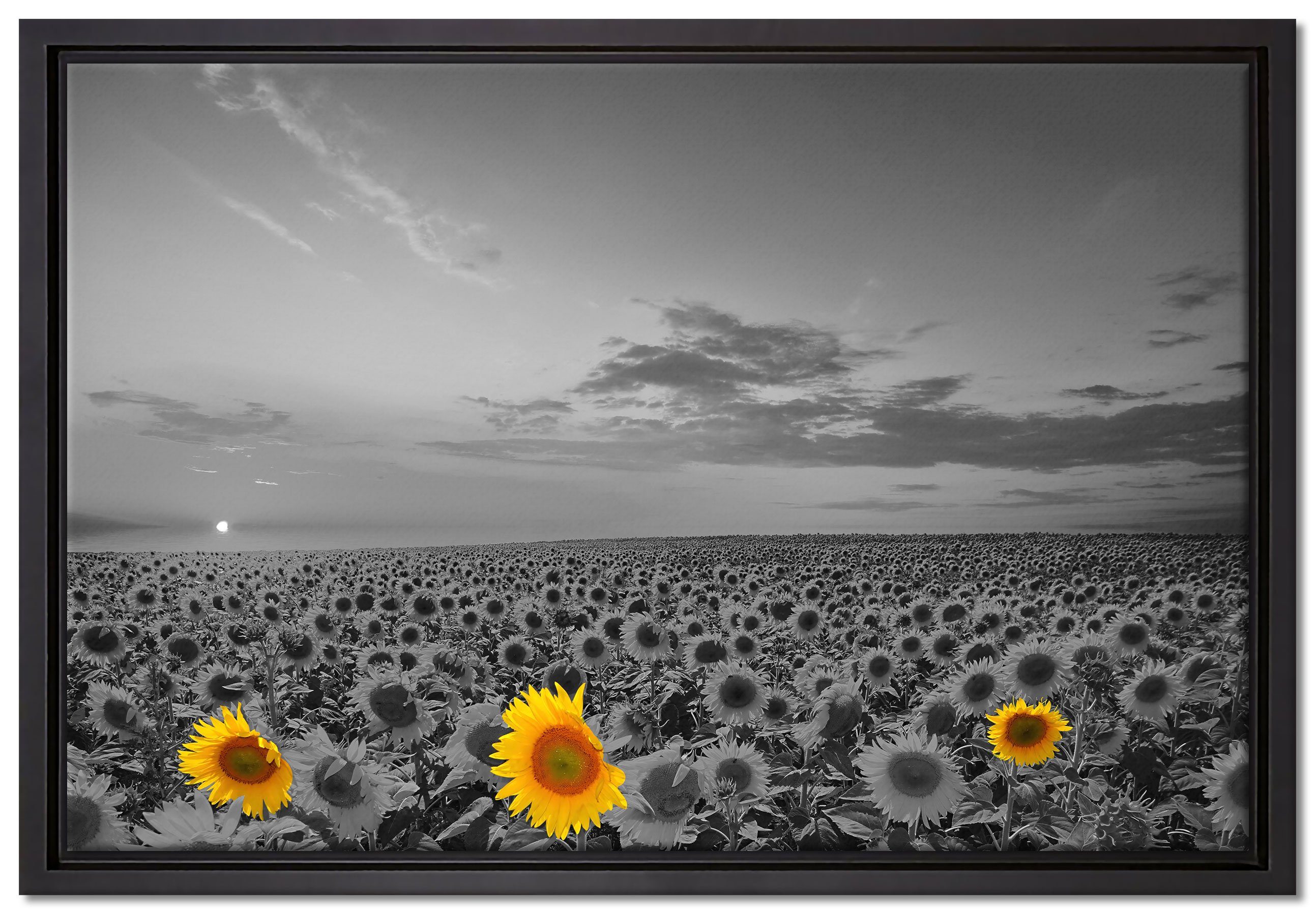 Pixxprint Leinwandbild schönes Sonnenblumenfeld, Wanddekoration (1 St), Leinwandbild fertig bespannt, in einem Schattenfugen-Bilderrahmen gefasst, inkl. Zackenaufhänger
