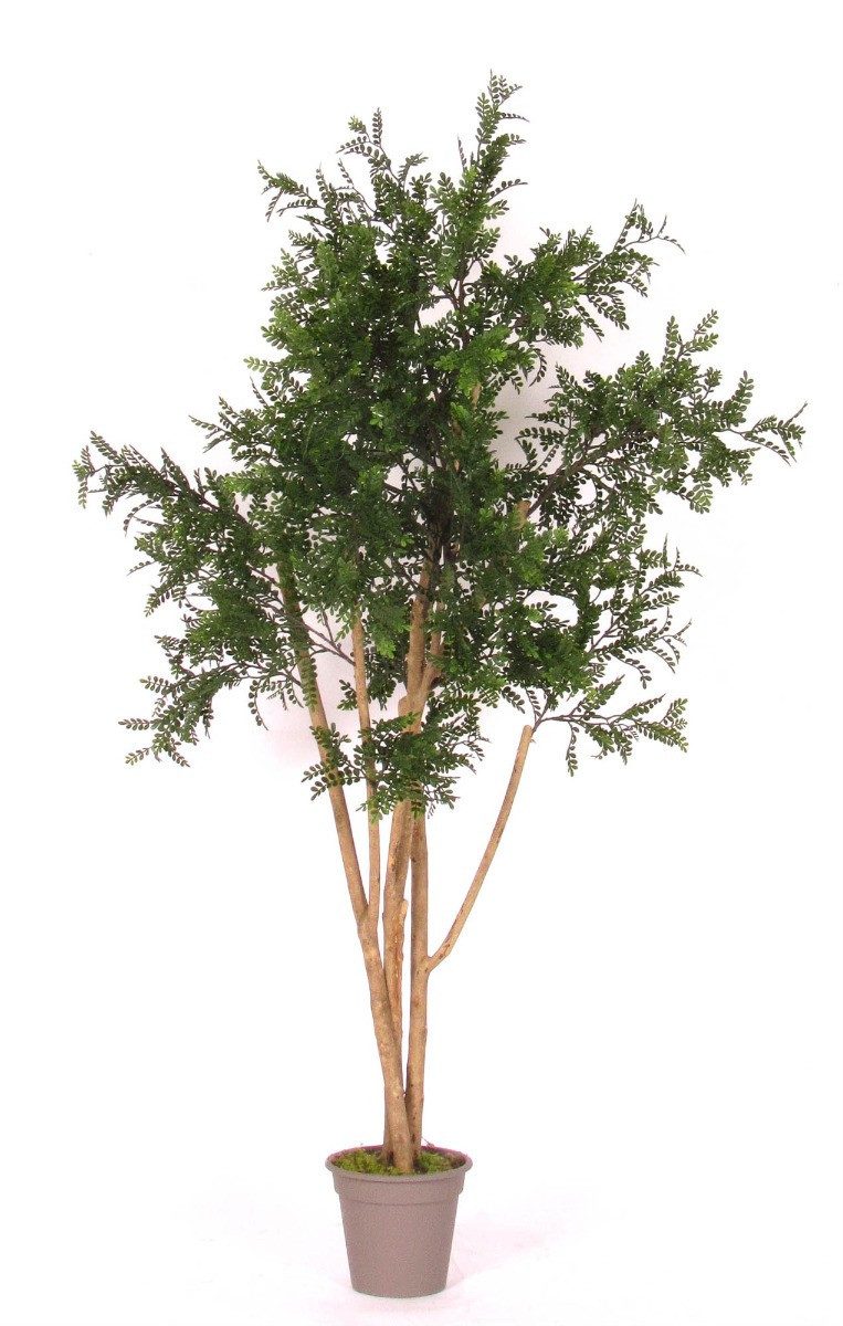 Kunstbaum Kunst Akazie ANDRIY mit Echtstämmen, crossdoor, grün, 125cm Akazie, artplants, Höhe 125.0 cm
