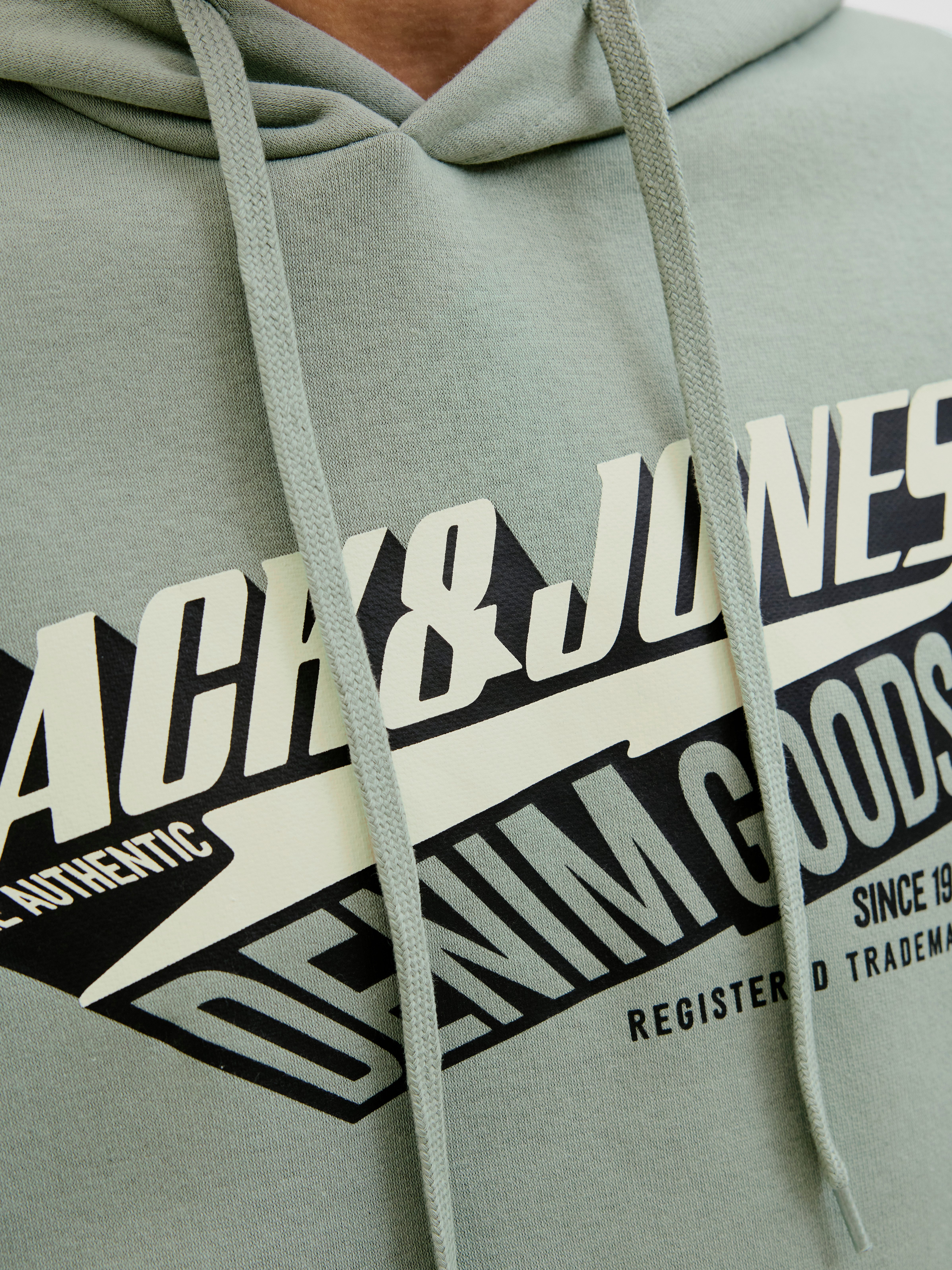 Jack & Jones Kapuzensweatshirt JJELOGO SWEAT HOOD 2 COL 25/26 NOOS mit stylischem Print