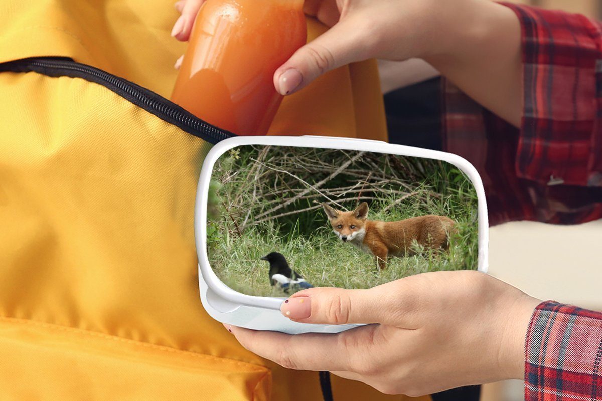 MuchoWow Lunchbox für Erwachsene, Brotbox Kunststoff, (2-tlg), - Fuchs, Vogel Brotdose, für Kinder Tiere weiß Jungs Mädchen und und 