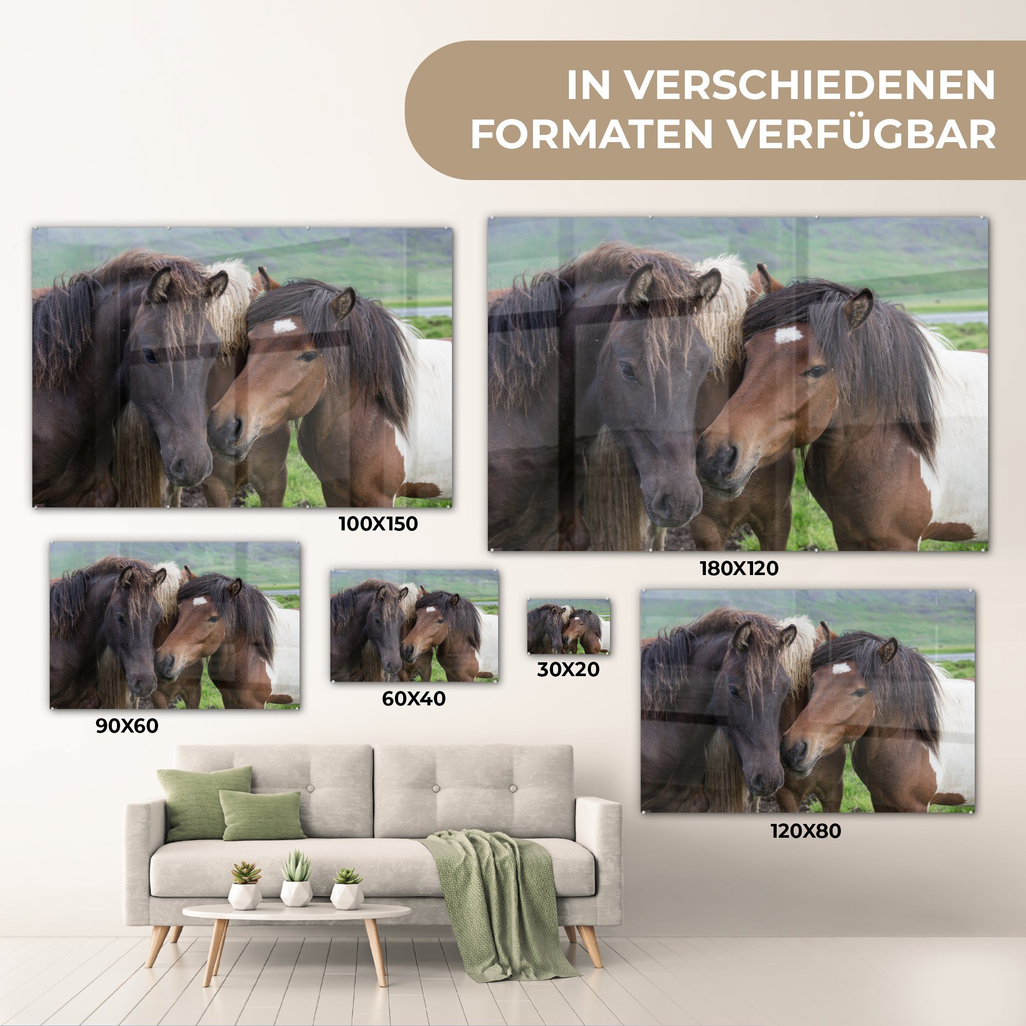 MuchoWow Acrylglasbild Pferde - Tiere - Acrylglasbilder St), & Schlafzimmer Wohnzimmer Braun, (1