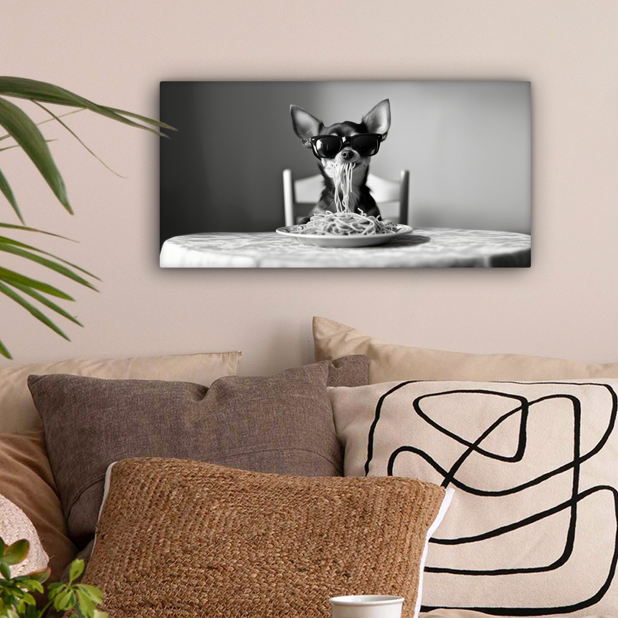 OneMillionCanvasses® Leinwandbild Panorama Chihuahua - Hund günstig online kaufen