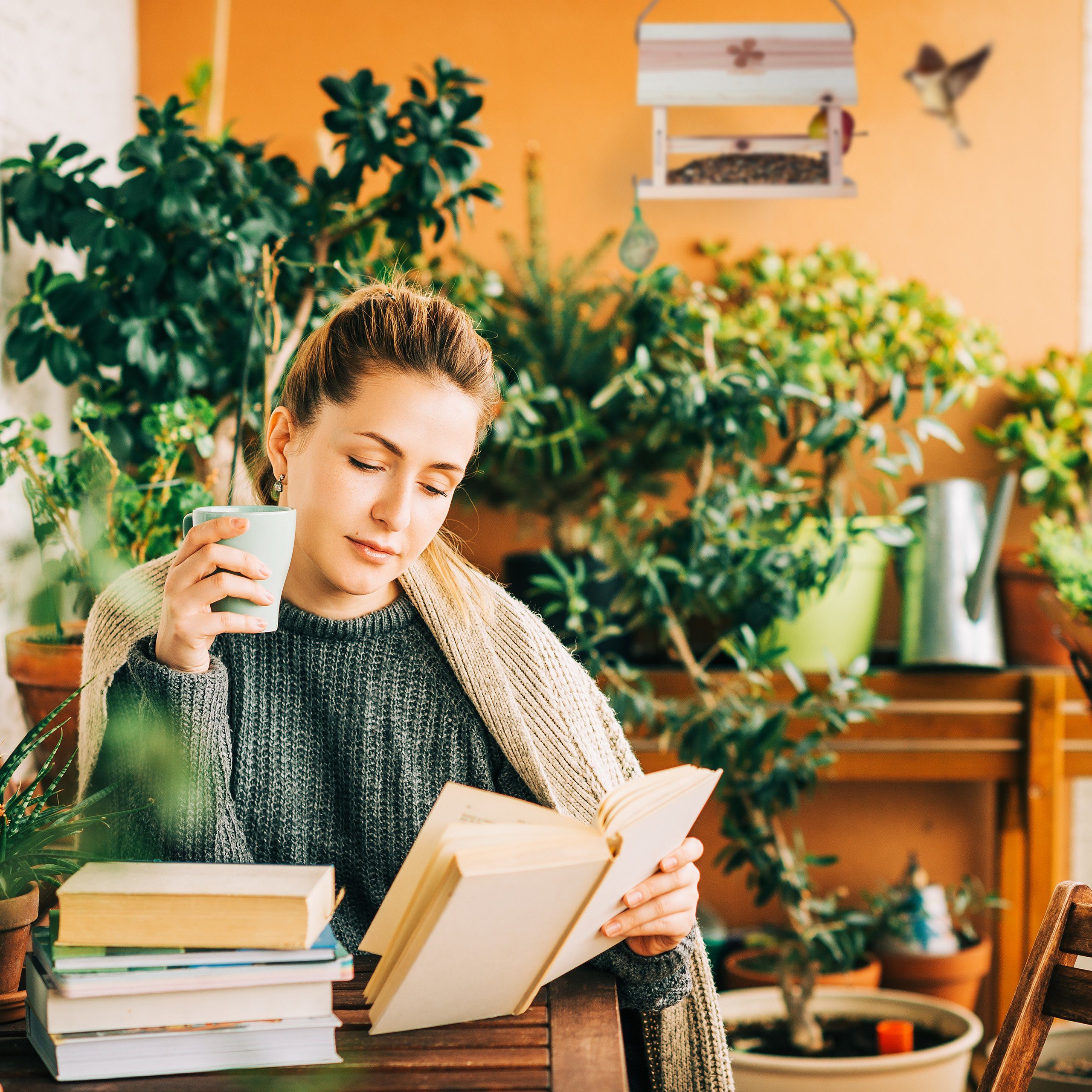 relaxdays Vogelhaus Vogelfutterhaus aus Naturholz