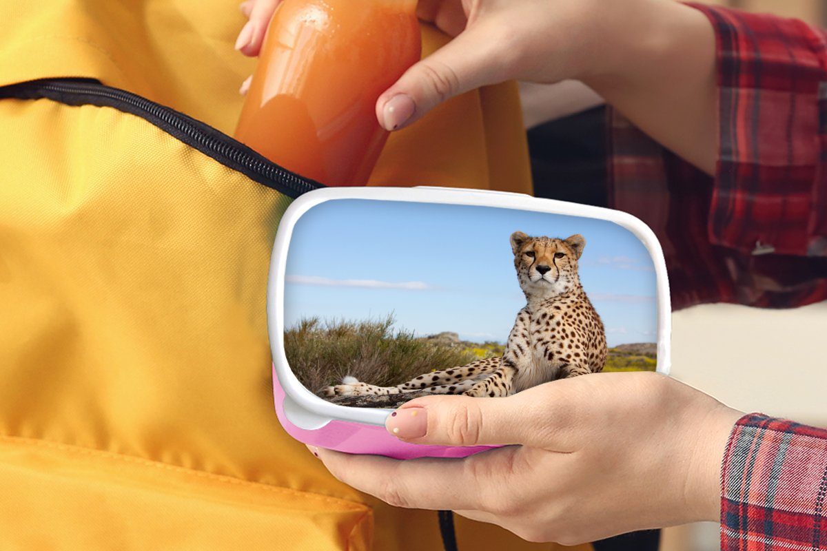 MuchoWow Lunchbox Leopard - Kinder, Brotbox rosa Natur, - Brotdose Tiere Kunststoff Kunststoff, für Mädchen, Erwachsene, (2-tlg), Snackbox