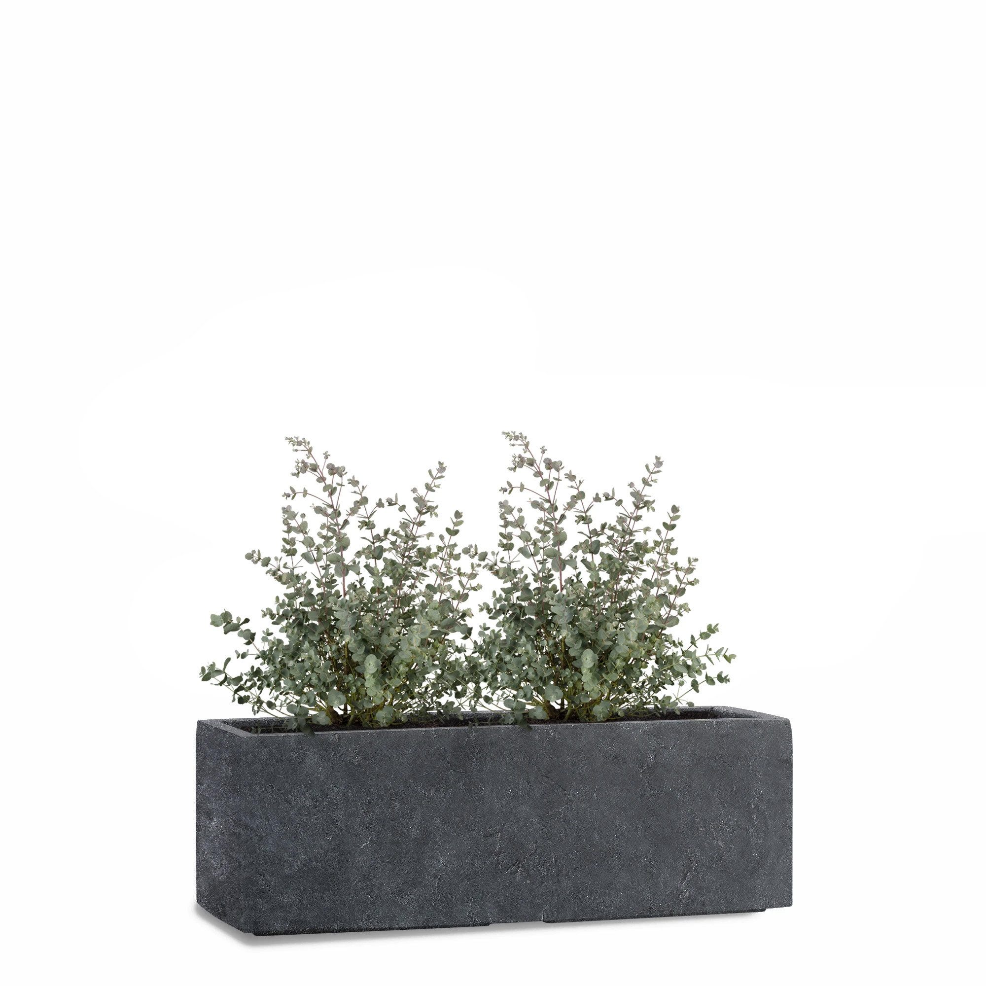 Pflanzwerk® Pflanzkübel TUB Frostbeständiger Fensterbank Premium Blumenkübel mit Lotus-Effekt, Fiberglas - Handgefertigt - Rechteckig – Frostbeständig