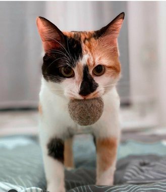 PETLOVEDE Tier-Beschäftigungsspielzeug Katzenspielzeug Filztüte - gemischte, bunte Filzspielzeuge für Katzen