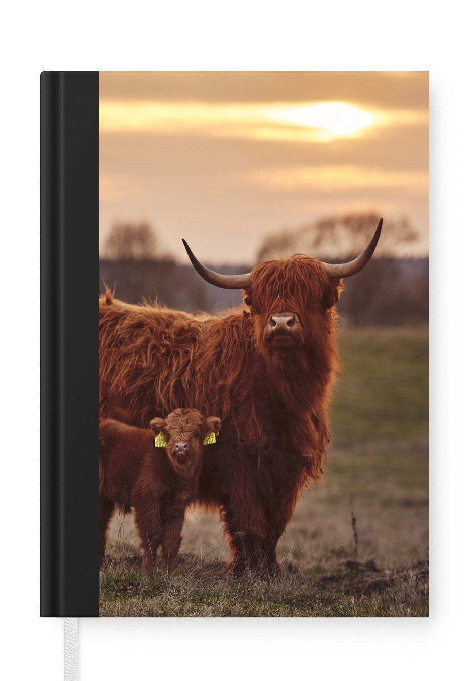 MuchoWow Notizbuch Schottische Highlander - Tiere - Landschaft - Sonnenuntergang - Kuh, Journal, Merkzettel, Tagebuch, Notizheft, A5, 98 Seiten, Haushaltsbuch