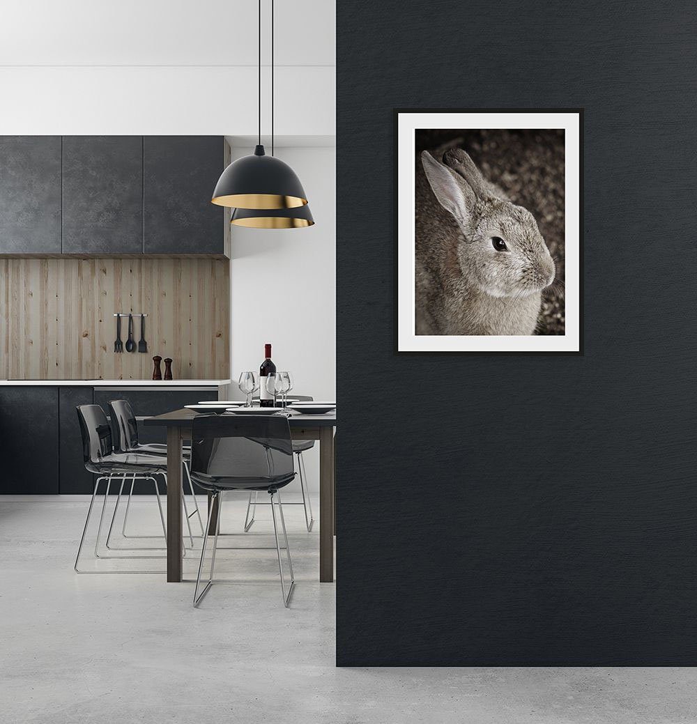 queence Bild Tilde, Hase (1 St) | Kunstdrucke