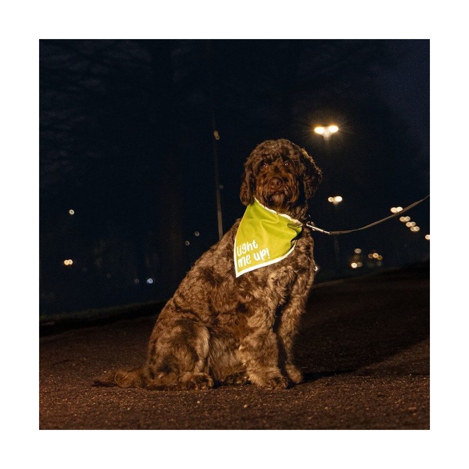Beeztees Hundewarnweste Safety Gear Bandana Chiny reflektierend