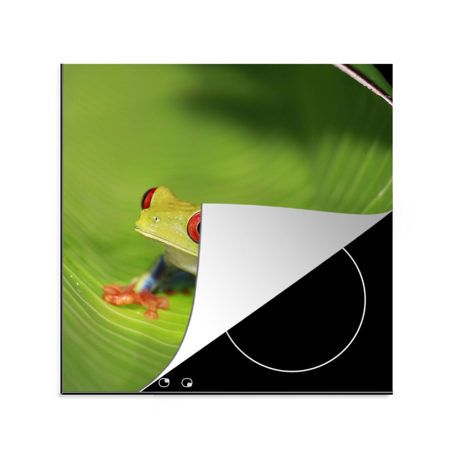 MuchoWow Herdblende-/Abdeckplatte Rotaugen-Ara-Frosch auf einem Blatt in Costa Rica, Vinyl, (1 tlg), 78x78 cm, Ceranfeldabdeckung, Arbeitsplatte für küche