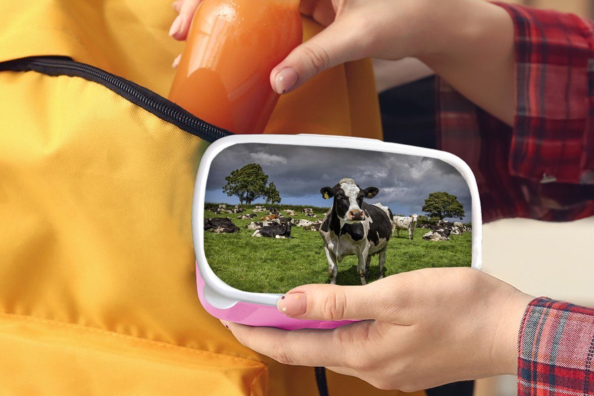 Kühe - Kunststoff für Tiere rosa Lunchbox Kunststoff, Friesisch, Brotdose (2-tlg), Erwachsene, - Mädchen, Snackbox, MuchoWow Brotbox Kinder,