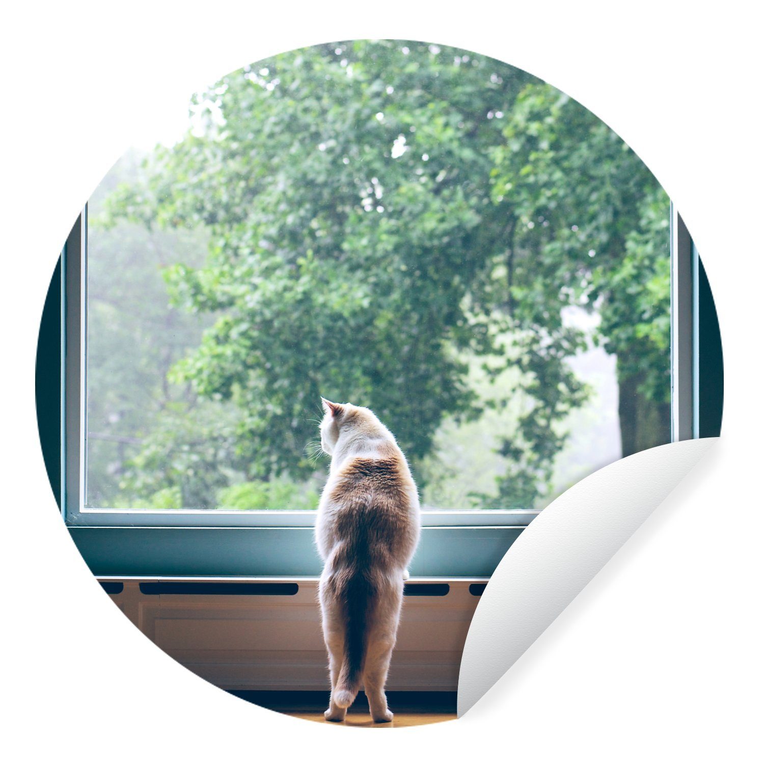 MuchoWow Wandsticker Katze - Fenster - Pflanzen (1 St), Selbstklebende Runde Vliestapete, Wohnzimmer, 140x140 cm