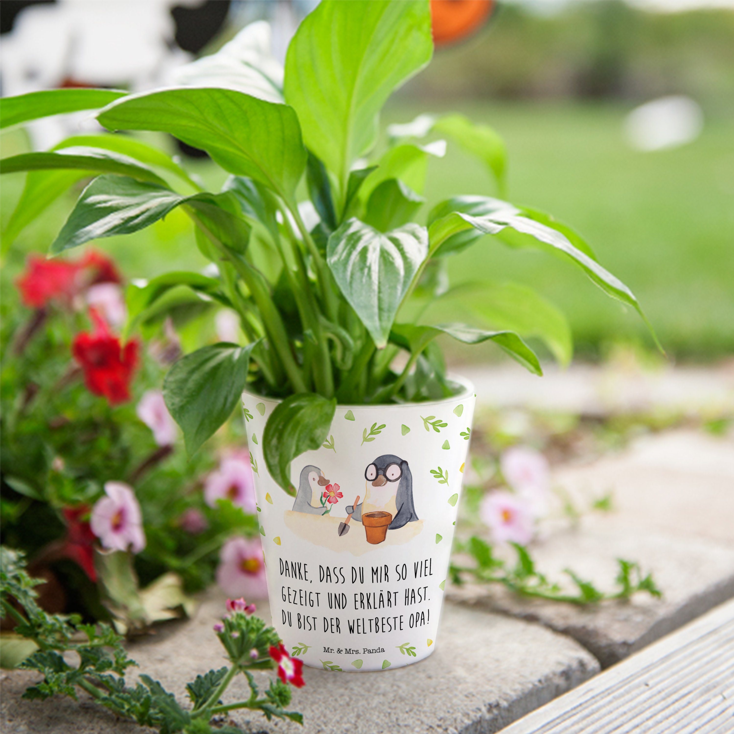 Kräutertopf Mr. St) Blumen Weiß pflanzen Mrs. & Panda Großvater, - Geschenk, Opa Pinguin Blumentopf - (1