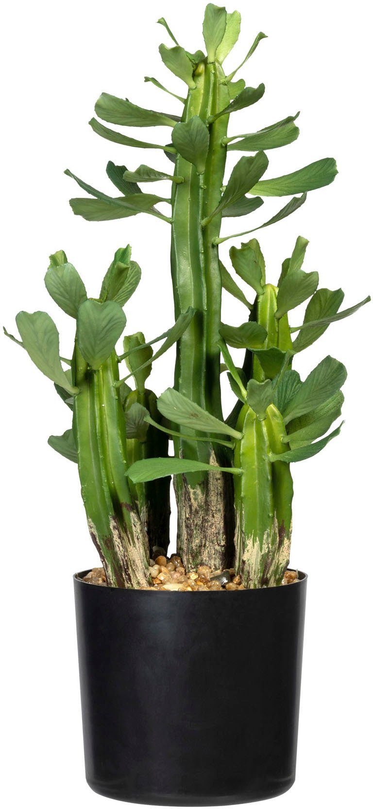 Creativ Zimmerpflanze 40 Euphorbie Euphorbie, Höhe Sukkulente Künstliche green, Sukkulente cm